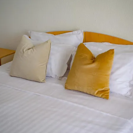 Hotel Cerna